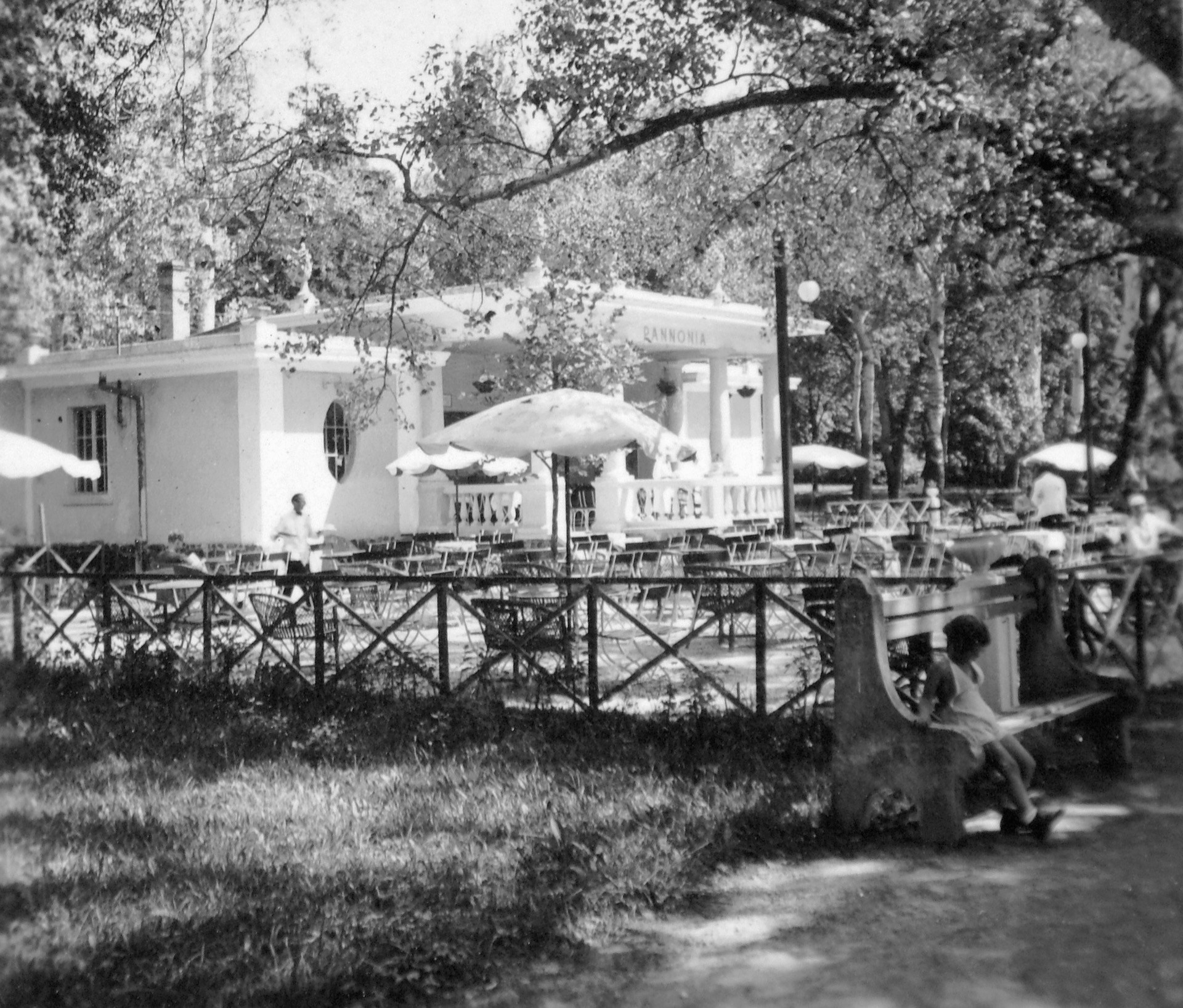 Az épület az Öregparkból, 1950-es évek